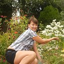 ���� ���������, ��������, 43 ���� - ��������� 11 �������� 2013 � ������ ���� ����������