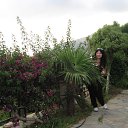  L l, , 40  -  5  2013    