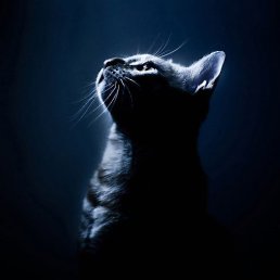 �����, �����, 24 ����