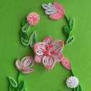 ���� Nensy, ���������, 25 ��� - ��������� 8 ����� 2014 � ������ �chemi nashromebi�