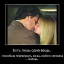 ���� �������, ����������, 44 ���� - ��������� 17 ������� 2013 � ������ �������