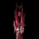 ���� ���������, �����������, 39 ��� - ��������� 11 ������ 2013 � ������ ��������� ���