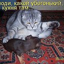 ���� ����, ������, 53 ���� - ��������� 17 ������ 2014 � ������ ���� ����������