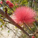 ���� ������, ����-���������, 75 ��� - ��������� 2 ������ 2014 � ������ ������ 2014 ��� � �.������