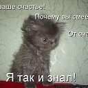 ���� ����, ������, 43 ���� - ��������� 10 ������ 2013 � ������ ���� ����������