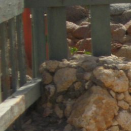 ��������, �������, 86 ���