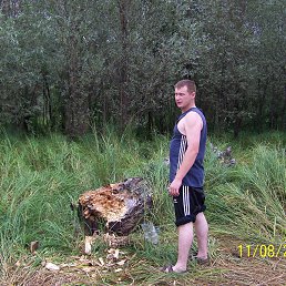 �����, �������, 44 ����