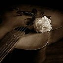 ���� ������, �������� - ��������� 6 ����� 2014 � ������ ������ ��������