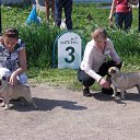 ���� ������ ����, ���������, 31 ��� - ��������� 8 ������ 2014 � ������ ���� ����������