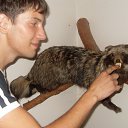���� ����, ������, 37 ��� - ��������� 31 ������ 2014 � ������ �������� http://vkontakte.ru/app2257829�