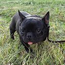 ���� ��������, ������ - ��������� 1 ������� 2013 � ������ �Lyfe Happy Sormadi�