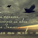  Elena, - -  21  2013     .