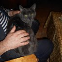 ���� ��������, �������, 72 ���� - ��������� 17 ������� 2014 � ������ ���� ����������