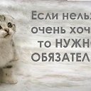 ���� �������, �������� ����, 57 ��� - ��������� 21 ������� 2013 � ������ ���� ����������