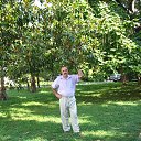 ���� ����, ���������, 71 ��� - ��������� 19 ������� 2013 � ������ ���� ����������