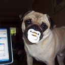 ���� ���������, ���������������, 61 ��� - ��������� 4 ������� 2014 � ������ �������