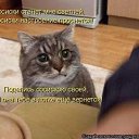 ���� ���, ������ - ��������� 7 ����� 2014 � ������ ������ ��������