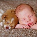 ���� ��������� ����������, ���������, 71 ��� - ��������� 28 ������ 2014 � ������ ���� ����������