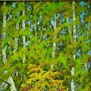 ���� ~ *���*~, ������ - ��������� 30 ������ 2013 � ������ ��������ܻ