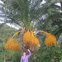 ���� �������, ���������, 69 ��� - ��������� 22 ������ 2013 � ������ ���� ����������