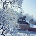  , - -  28  2013    л