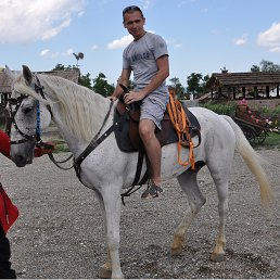 Aleks, 41, -