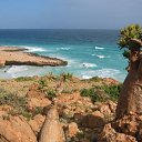 ���� Saeed, ������ - ��������� 31 ������ 2014 � ������ ���� ����������