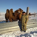 ���� ������, �����������, 77 ��� - ��������� 21 ������ 2013 � ������ ���� ����������