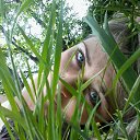 ���� �����, ����������, 54 ���� - ��������� 27 ������� 2013 � ������ ���� ����������