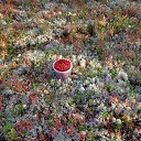 ������ 2013� �� ������� ���� ����������