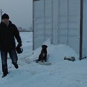 ���� ��������, ��������� - ��������� 2 ������� 2014 � ������ ���� ����������