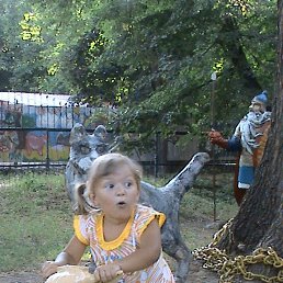 ���� �����, ������, 51 ��� - ��������� 20 �������� 2013