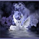 ���� ������, ������ - ��������� 26 ������� 2014 � ������ ������ ��������