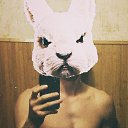 ���� �����, �������, 37 ��� - ��������� 1 ������� 2014 � ������ ���� ����������