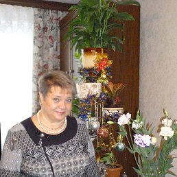 ���� ���������, ������, 72 ����