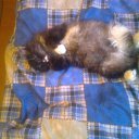 ���� ����, �����������, 38 ��� - ��������� 17 �������� 2013 � ������ �������