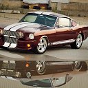  , - -  12  2013   Mustang