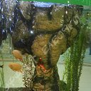 ���� �����, ������-��-����, 41 ��� - ��������� 27 ������� 2013 � ������ ���� ������....�