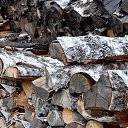 ���� Svann, ���������, 71 ��� - ��������� 18 �������� 2013 � ������ �������� �����
