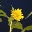 ��������� �� ���� �� ������� ���� ����������