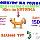   (  ),  -  8  2013    