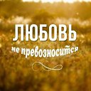  Gabulik, , 35  -  12  2014   !!!