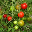 ���� ������, ������ - ��������� 16 ������� 2014 � ������ ���� ����������