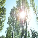 ���� �������, ������, 56 ��� - ��������� 20 �������� 2013 � ������ �Tropikania�