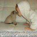 ���� ����, ������, 43 ���� - ��������� 10 ������ 2013 � ������ ���� ����������