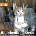 ���� �����, �������� - ��������� 15 ����� 2014 � ������ ���� ����� ����!�