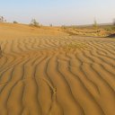 ���� �����, �������, 68 ��� - ��������� 29 ������ 2013 � ������ ���������