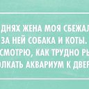 ���� Alex, �����-��������� - ��������� 7 ����� 2014 � ������ ������ ��������