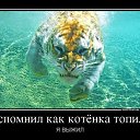 ���� ���, ������ - ��������� 18 ������� 2013 � ������ ���������