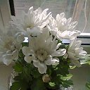 ���� �������(����������), ������� - ��������� 2 ����� 2014 � ������ ���� ����������